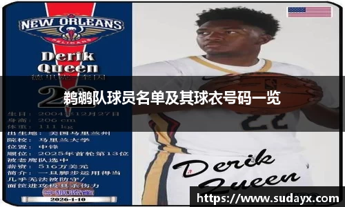 鹈鹕队球员名单及其球衣号码一览
